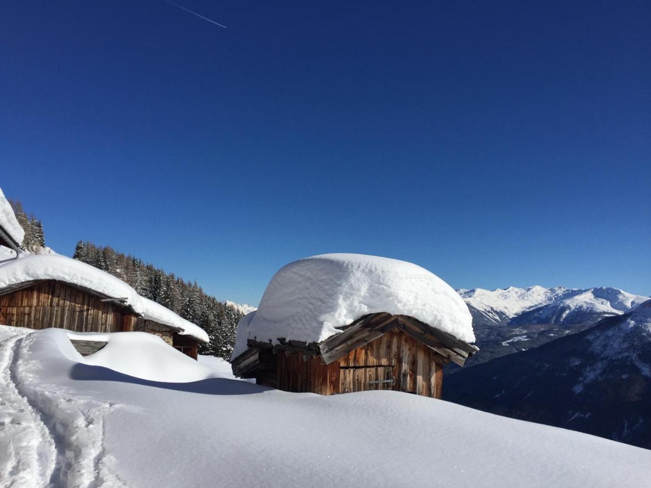 Alpenferienwohnung Strickner Neustift im Stubaital Exterior foto